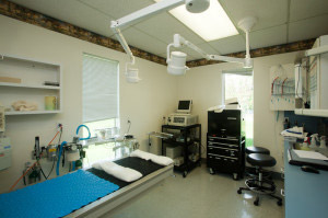 Our Dental Suite
