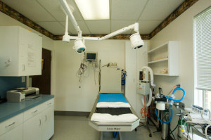 Our Dental Suite