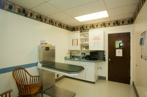 Our Exam Room 1