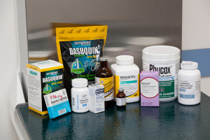 adamstown_veterinary_hospital pain management medications We provide our patients with comprehensive pain management.